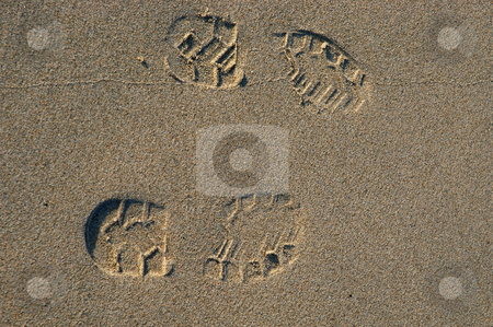 To use this stock image in your creative project, please select the size you need over to the right and click the "Add to Cart" button.
Your downloaded image will come with the Cutcaster watermark removed so don’t worry about the watermark you see on this page. Sand stock photo, Footprints on the sand by Rui Vale de Sousa