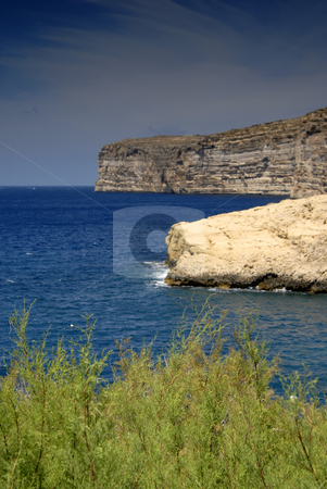 To use this stock image in your creative project, please select the size you need over to the right and click the "Add to Cart" button.
Your downloaded image will come with the Cutcaster watermark removed so don’t worry about the watermark you see on this page. Coast stock photo, Malta island coastal view at Gozo island, focus on the plants by Rui Vale de Sousa