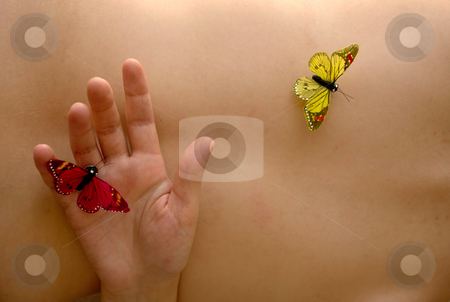 To use this stock image in your creative project, please select the size you need over to the right and click the "Add to Cart" button.
Your downloaded image will come with the Cutcaster watermark removed so don’t worry about the watermark you see on this page. Butterflys stock photo, Fake butterflys in woman naked skin detail by Rui Vale de Sousa
