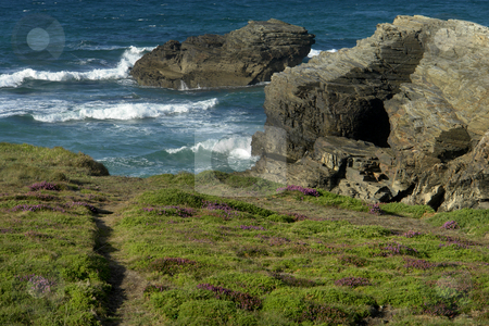 To use this stock image in your creative project, please select the size you need over to the right and click the "Add to Cart" button.
Your downloaded image will come with the Cutcaster watermark removed so don’t worry about the watermark you see on this page. Coastal stock photo, Vegetation in the coast of the north of spain by Rui Vale de Sousa