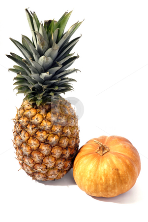 To use this stock image in your creative project, please select the size you need over to the right and click the "Add to Cart" button.
Your downloaded image will come with the Cutcaster watermark removed so don’t worry about the watermark you see on this page. Fruit stock photo, Pinapple and a pumpkin isolated on white by Rui Vale de Sousa