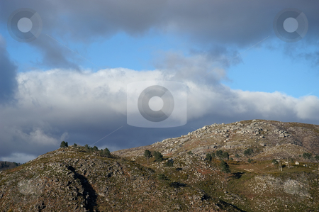 To use this stock image in your creative project, please select the size you need over to the right and click the "Add to Cart" button.
Your downloaded image will come with the Cutcaster watermark removed so don’t worry about the watermark you see on this page. Mountain stock photo, Mountain trees by Rui Vale de Sousa