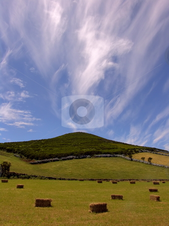 To use this stock image in your creative project, please select the size you need over to the right and click the "Add to Cart" button.
Your downloaded image will come with the Cutcaster watermark removed so don’t worry about the watermark you see on this page. Azores stock photo, Azores green landscape at S. Jorge island, portugal by Rui Vale de Sousa