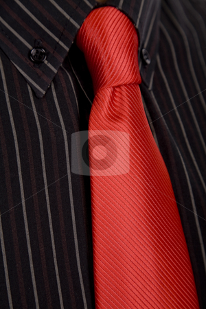 To use this stock image in your creative project, please select the size you need over to the right and click the "Add to Cart" button.
Your downloaded image will come with the Cutcaster watermark removed so don’t worry about the watermark you see on this page. Red tie stock photo, Detail of a business man suit with red tie by Rui Vale de Sousa