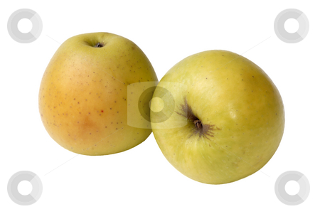 To use this stock image in your creative project, please select the size you need over to the right and click the "Add to Cart" button.
Your downloaded image will come with the Cutcaster watermark removed so don’t worry about the watermark you see on this page. Apple stock photo, Two yellow apple isolated in white background by Rui Vale de Sousa