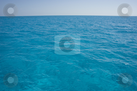 To use this stock image in your creative project, please select the size you need over to the right and click the "Add to Cart" button.
Your downloaded image will come with the Cutcaster watermark removed so don’t worry about the watermark you see on this page. Bahama Surface Landscape stock photo, Landscape oriented background image of blue ocean water with a clear sky by A Cotton Photo