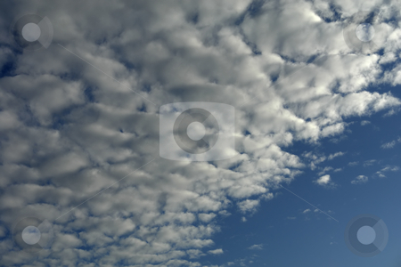 To use this stock image in your creative project, please select the size you need over to the right and click the "Add to Cart" button.
Your downloaded image will come with the Cutcaster watermark removed so don’t worry about the watermark you see on this page. Clouds stock photo, Abstract white clouds at the blue sky by Rui Vale de Sousa