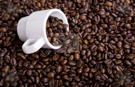To use this stock image in your creative project, please select the size you need over to the right and click the "Add to Cart" button.
Your downloaded image will come with the Cutcaster watermark removed so don’t worry about the watermark you see on this page. Coffee stock photo, Coffee beans and a white coffee cup by Rui Vale de Sousa
