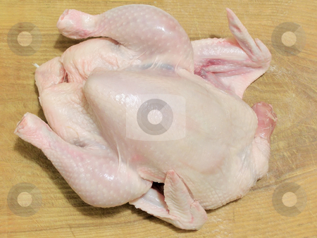 To use this stock image in your creative project, please select the size you need over to the right and click the "Add to Cart" button.
Your downloaded image will come with the Cutcaster watermark removed so don’t worry about the watermark you see on this page. Raw chicken stock photo, Raw chicken meat on the wood board by Sergej Razvodovskij