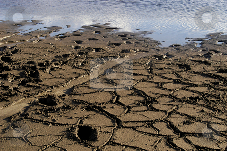 To use this stock image in your creative project, please select the size you need over to the right and click the "Add to Cart" button.
Your downloaded image will come with the Cutcaster watermark removed so don’t worry about the watermark you see on this page. Mud stock photo, Mud at the lake by Rui Vale de Sousa