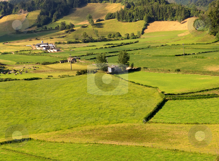 To use this stock image in your creative project, please select the size you need over to the right and click the "Add to Cart" button.
Your downloaded image will come with the Cutcaster watermark removed so don’t worry about the watermark you see on this page. Fields stock photo, Azores green fields at sao miguel island by Rui Vale de Sousa