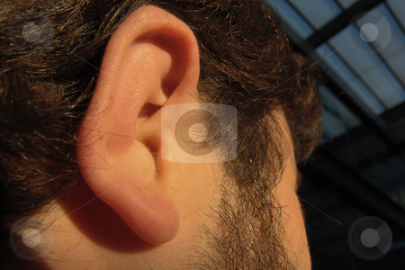 To use this stock image in your creative project, please select the size you need over to the right and click the "Add to Cart" button.
Your downloaded image will come with the Cutcaster watermark removed so don’t worry about the watermark you see on this page. Ear stock photo, Man body part by Rui Vale de Sousa