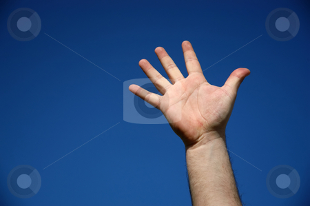 To use this stock image in your creative project, please select the size you need over to the right and click the "Add to Cart" button.
Your downloaded image will come with the Cutcaster watermark removed so don’t worry about the watermark you see on this page. Hand stock photo, Human hand and the sky as background by Rui Vale de Sousa