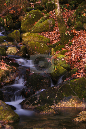 To use this stock image in your creative project, please select the size you need over to the right and click the "Add to Cart" button.
Your downloaded image will come with the Cutcaster watermark removed so don’t worry about the watermark you see on this page. Running stock photo, Autumn river detail in the portuguese national park by Rui Vale de Sousa