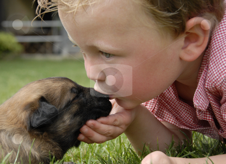 To use this stock image in your creative project, please select the size you need over to the right and click the "Add to Cart" button.
Your downloaded image will come with the Cutcaster watermark removed so don’t worry about the watermark you see on this page. Kissing baby stock photo, Little boy kissing his very young puppy purebred belgian shepherd malinois by Bonzami Emmanuelle