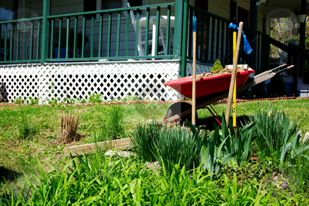 To use this stock image in your creative project, please select the size you need over to the right and click the "Add to Cart" button.
Your downloaded image will come with the Cutcaster watermark removed so don’t worry about the watermark you see on this page. Gardening stock photo, Wheelbarrow and shovels ready to go to work in the flower garden by Sandra Fann