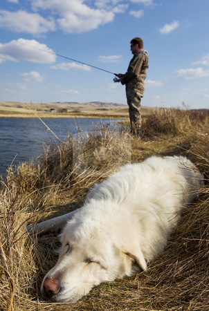 To use this stock image in your creative project, please select the size you need over to the right and click the "Add to Cart" button.
Your downloaded image will come with the Cutcaster watermark removed so don’t worry about the watermark you see on this page. Sleeping dog stock photo, A dog sleeps as his master is fishing focus on the dog by Steve Mcsweeny