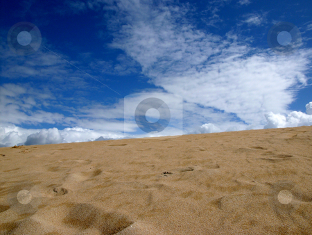 To use this stock image in your creative project, please select the size you need over to the right and click the "Add to Cart" button.
Your downloaded image will come with the Cutcaster watermark removed so don’t worry about the watermark you see on this page. Sand stock photo, Desert sand by Rui Vale de Sousa