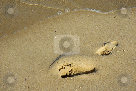 To use this stock image in your creative project, please select the size you need over to the right and click the "Add to Cart" button.
Your downloaded image will come with the Cutcaster watermark removed so don’t worry about the watermark you see on this page. Footprint stock photo, Footprint in the sand and a wave by Rui Vale de Sousa