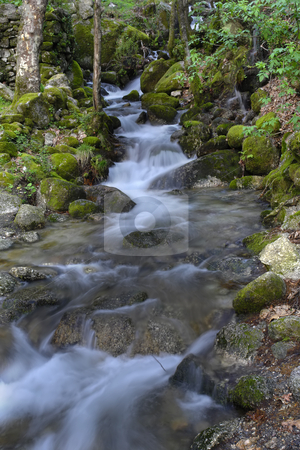To use this stock image in your creative project, please select the size you need over to the right and click the "Add to Cart" button.
Your downloaded image will come with the Cutcaster watermark removed so don’t worry about the watermark you see on this page. Run stock photo, River waterfall by Rui Vale de Sousa