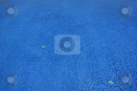 To use this stock image in your creative project, please select the size you need over to the right and click the "Add to Cart" button.
Your downloaded image will come with the Cutcaster watermark removed so don’t worry about the watermark you see on this page. Blue water stock photo, Swimming pool blue water detail with textures by Rui Vale de Sousa