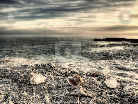 To use this stock image in your creative project, please select the size you need over to the right and click the "Add to Cart" button.
Your downloaded image will come with the Cutcaster watermark removed so don’t worry about the watermark you see on this page. Adriatic sea stock photo, View of the untouched beach somewhere on the Adriatic coast. by Sinisa Botas