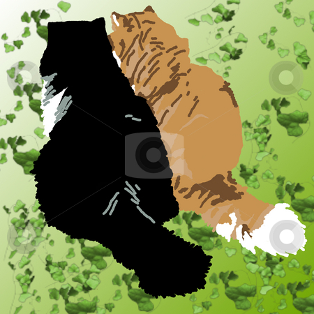 To use this stock image in your creative project, please select the size you need over to the right and click the "Add to Cart" button.
Your downloaded image will come with the Cutcaster watermark removed so don’t worry about the watermark you see on this page. Two Persian Cats stock photo, Two Persian cats conspiring on a green ivy background. by Karen Carter