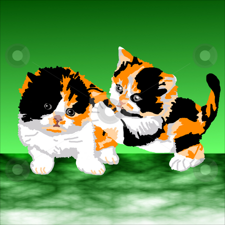 To use this stock image in your creative project, please select the size you need over to the right and click the "Add to Cart" button.
Your downloaded image will come with the Cutcaster watermark removed so don’t worry about the watermark you see on this page. Two Persian Calico Kittens Playing stock photo, Two Persian Calico kittens playing tag on a green background. by Karen Carter