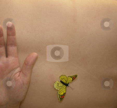 To use this stock image in your creative project, please select the size you need over to the right and click the "Add to Cart" button.
Your downloaded image will come with the Cutcaster watermark removed so don’t worry about the watermark you see on this page. Butterfly stock photo, Butterfly in woman skin by Rui Vale de Sousa