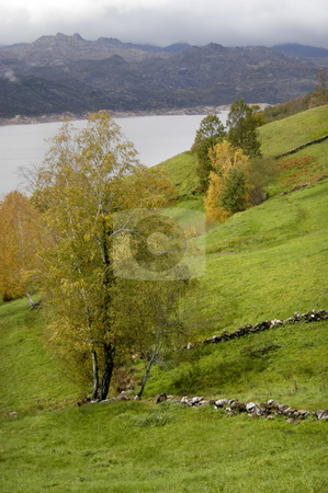 To use this stock image in your creative project, please select the size you need over to the right and click the "Add to Cart" button.
Your downloaded image will come with the Cutcaster watermark removed so don’t worry about the watermark you see on this page. Lake stock photo, Autumn lake by Rui Vale de Sousa