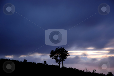 To use this stock image in your creative project, please select the size you need over to the right and click the "Add to Cart" button.
Your downloaded image will come with the Cutcaster watermark removed so don’t worry about the watermark you see on this page. Lonely stock photo, Tree alone in the top of the mountain, long exposure shot by Rui Vale de Sousa