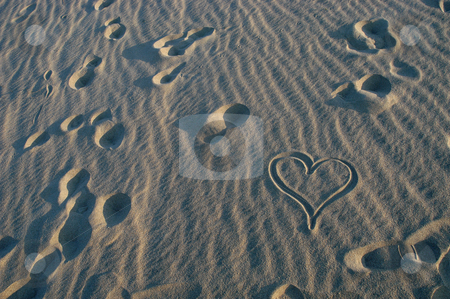 To use this stock image in your creative project, please select the size you need over to the right and click the "Add to Cart" button.
Your downloaded image will come with the Cutcaster watermark removed so don’t worry about the watermark you see on this page. Heart stock photo, Heart on the sand by Rui Vale de Sousa