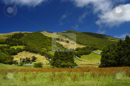 To use this stock image in your creative project, please select the size you need over to the right and click the "Add to Cart" button.
Your downloaded image will come with the Cutcaster watermark removed so don’t worry about the watermark you see on this page. Hill stock photo, Azores landscape by Rui Vale de Sousa