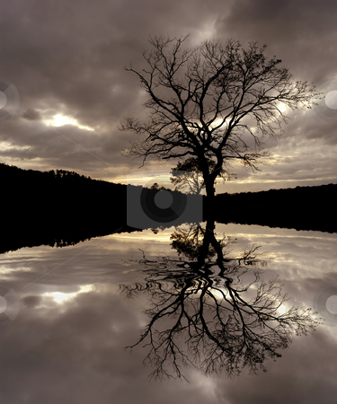 To use this stock image in your creative project, please select the size you need over to the right and click the "Add to Cart" button.
Your downloaded image will come with the Cutcaster watermark removed so don’t worry about the watermark you see on this page. Tree stock photo, Tree at the sunset with water reflection by Rui Vale de Sousa
