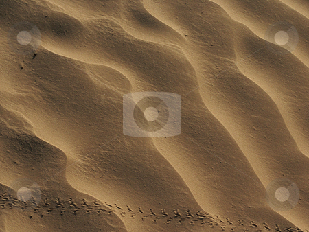 To use this stock image in your creative project, please select the size you need over to the right and click the "Add to Cart" button.
Your downloaded image will come with the Cutcaster watermark removed so don’t worry about the watermark you see on this page. Sand stock photo, Sand details by Rui Vale de Sousa
