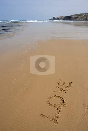 To use this stock image in your creative project, please select the size you need over to the right and click the "Add to Cart" button.
Your downloaded image will come with the Cutcaster watermark removed so don’t worry about the watermark you see on this page. Love stock photo, Love on the wet sand at the beach by Rui Vale de Sousa