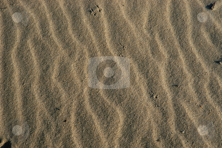 To use this stock image in your creative project, please select the size you need over to the right and click the "Add to Cart" button.
Your downloaded image will come with the Cutcaster watermark removed so don’t worry about the watermark you see on this page. Sand stock photo, Sand details by Rui Vale de Sousa