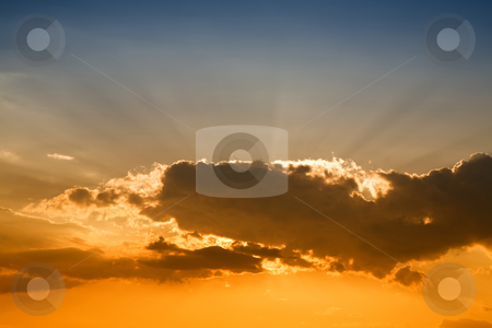 To use this stock image in your creative project, please select the size you need over to the right and click the "Add to Cart" button.
Your downloaded image will come with the Cutcaster watermark removed so don’t worry about the watermark you see on this page. Sunset stock photo, Sun rays at the sunset and the orange clouds by Rui Vale de Sousa