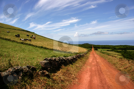 To use this stock image in your creative project, please select the size you need over to the right and click the "Add to Cart" button.
Your downloaded image will come with the Cutcaster watermark removed so don’t worry about the watermark you see on this page. Road stock photo, Azores landscape by Rui Vale de Sousa