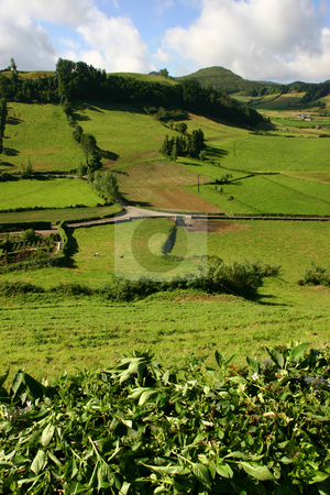 To use this stock image in your creative project, please select the size you need over to the right and click the "Add to Cart" button.
Your downloaded image will come with the Cutcaster watermark removed so don’t worry about the watermark you see on this page. Fields stock photo, Azores fields by Rui Vale de Sousa