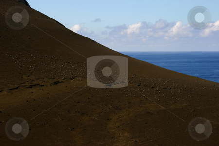 To use this stock image in your creative project, please select the size you need over to the right and click the "Add to Cart" button.
Your downloaded image will come with the Cutcaster watermark removed so don’t worry about the watermark you see on this page. Mountain stock photo, Coast mountain by Rui Vale de Sousa