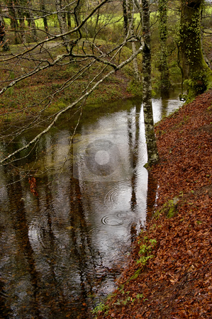 To use this stock image in your creative project, please select the size you need over to the right and click the "Add to Cart" button.
Your downloaded image will come with the Cutcaster watermark removed so don’t worry about the watermark you see on this page. River stock photo, Forest small river in a rainny day by Rui Vale de Sousa