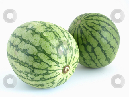 To use this stock image in your creative project, please select the size you need over to the right and click the "Add to Cart" button.
Your downloaded image will come with the Cutcaster watermark removed so don’t worry about the watermark you see on this page. Twin Melons stock photo, Two isolated green watermelons studio isolated against a white background. by Robert Gebbie