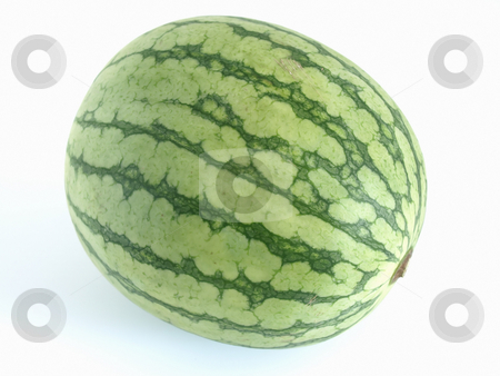To use this stock image in your creative project, please select the size you need over to the right and click the "Add to Cart" button.
Your downloaded image will come with the Cutcaster watermark removed so don’t worry about the watermark you see on this page. Watermelon stock photo, An isolated green watermelon studio isolated against a white background. by Robert Gebbie