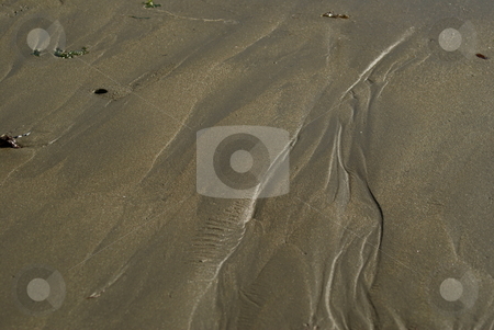 To use this stock image in your creative project, please select the size you need over to the right and click the "Add to Cart" button.
Your downloaded image will come with the Cutcaster watermark removed so don’t worry about the watermark you see on this page. River of sand stock photo, by Stephen Hagspiel
