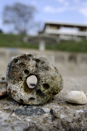 To use this stock image in your creative project, please select the size you need over to the right and click the "Add to Cart" button.
Your downloaded image will come with the Cutcaster watermark removed so don’t worry about the watermark you see on this page. Rocks and seashells stock photo, Close-up with rocks and seashells resting near the sea by Dragos Iliescu