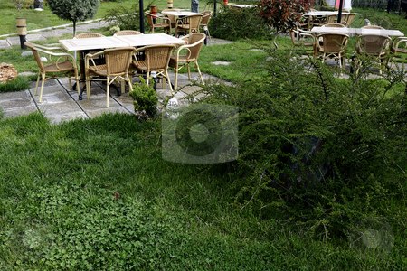 To use this stock image in your creative project, please select the size you need over to the right and click the "Add to Cart" button.
Your downloaded image will come with the Cutcaster watermark removed so don’t worry about the watermark you see on this page. Furniture for gardens stock photo, Modern furniture for gardens and plants by Dragos Iliescu