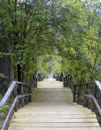To use this stock image in your creative project, please select the size you need over to the right and click the "Add to Cart" button.
Your downloaded image will come with the Cutcaster watermark removed so don’t worry about the watermark you see on this page. Wooden stairs between the trees stock photo, Looking down from the top of wooden stairs in Tampere, Finland by Alessandro Rizzolli