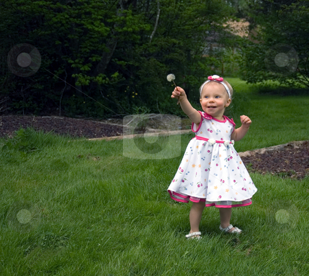 To use this stock image in your creative project, please select the size you need over to the right and click the "Add to Cart" button.
Your downloaded image will come with the Cutcaster watermark removed so don’t worry about the watermark you see on this page. Cute Toddler Girl with Dandelion Seed stock photo, This cute little toddler in a white flowered dress is looking at her first dandelion seed head thinking it some great new toy. by Valerie Garner
