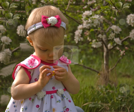 To use this stock image in your creative project, please select the size you need over to the right and click the "Add to Cart" button.
Your downloaded image will come with the Cutcaster watermark removed so don’t worry about the watermark you see on this page. Adorable Little Girl Looking at Flower stock photo, This adorable little girl toddler is closely looking at a small flower in a darling candid pose. by Valerie Garner